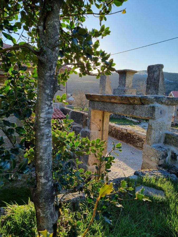 Casa Da Relva Inspirada Em Harry Potter Villa Lamego Exterior photo