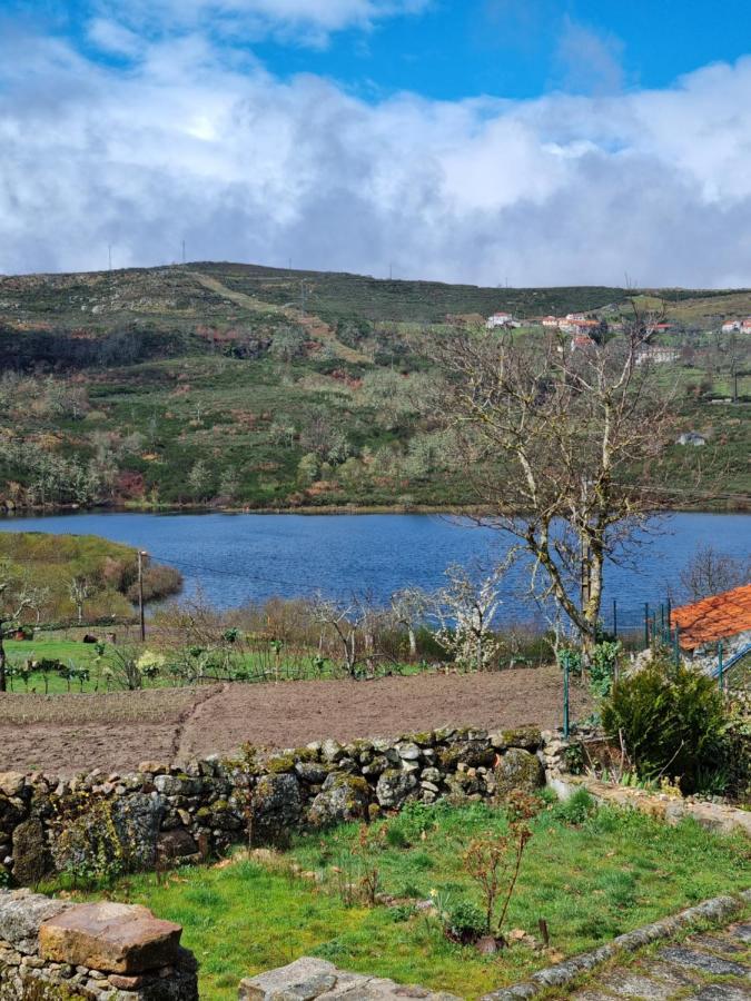 Casa Da Relva Inspirada Em Harry Potter Villa Lamego Exterior photo
